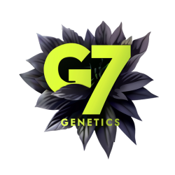 g7genetics.com